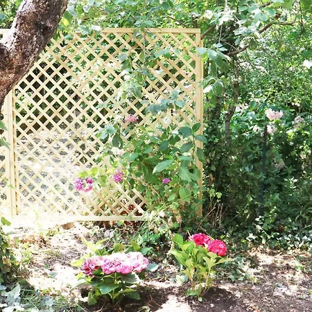 Casa Vacanze Il Giardino - Ciliegio Apartment Aritzo