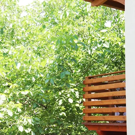 Casa Vacanze Il Giardino - Ciliegio * Aritzo